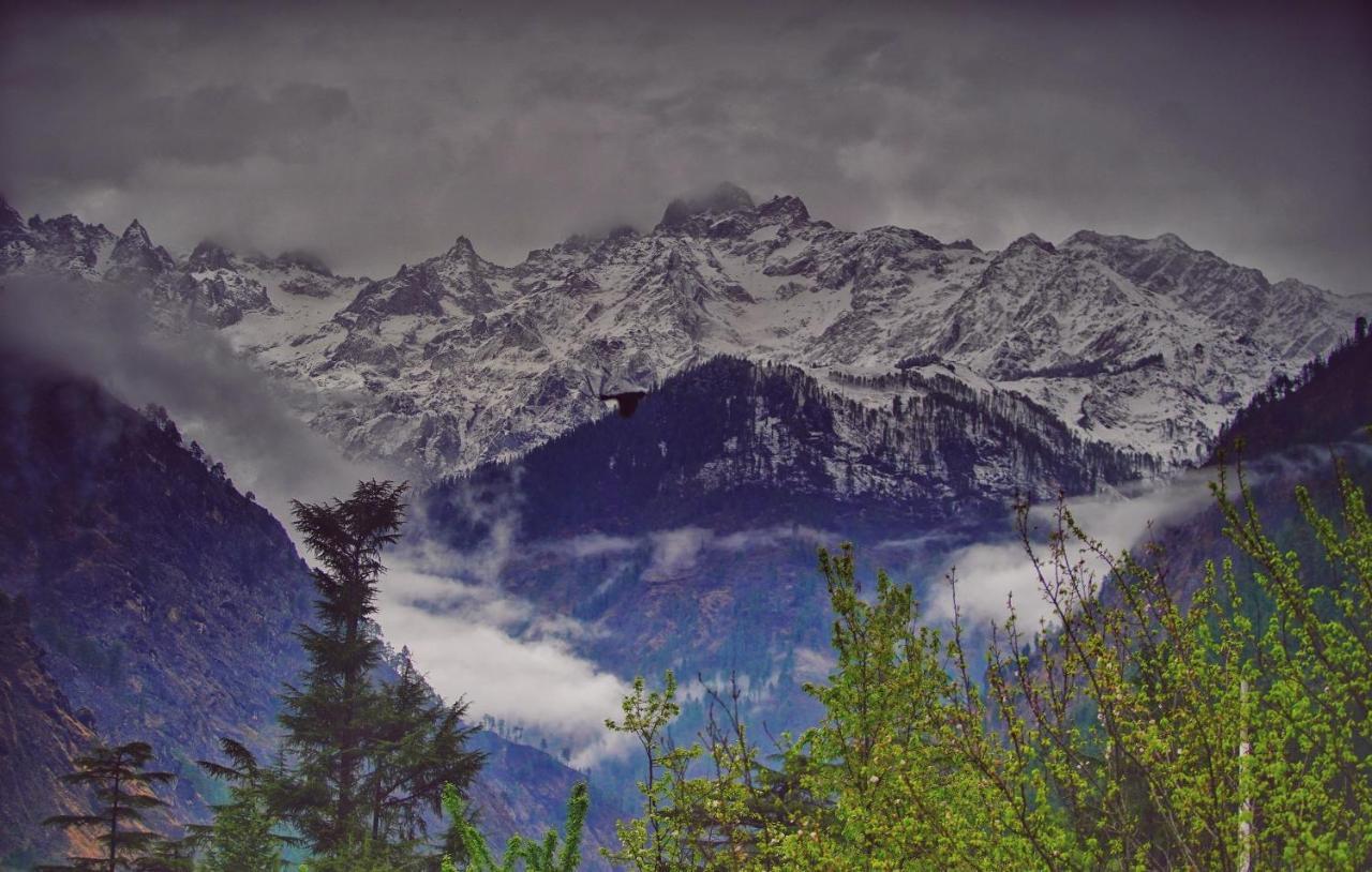 Memoir Homestay Kasol Eksteriør bilde
