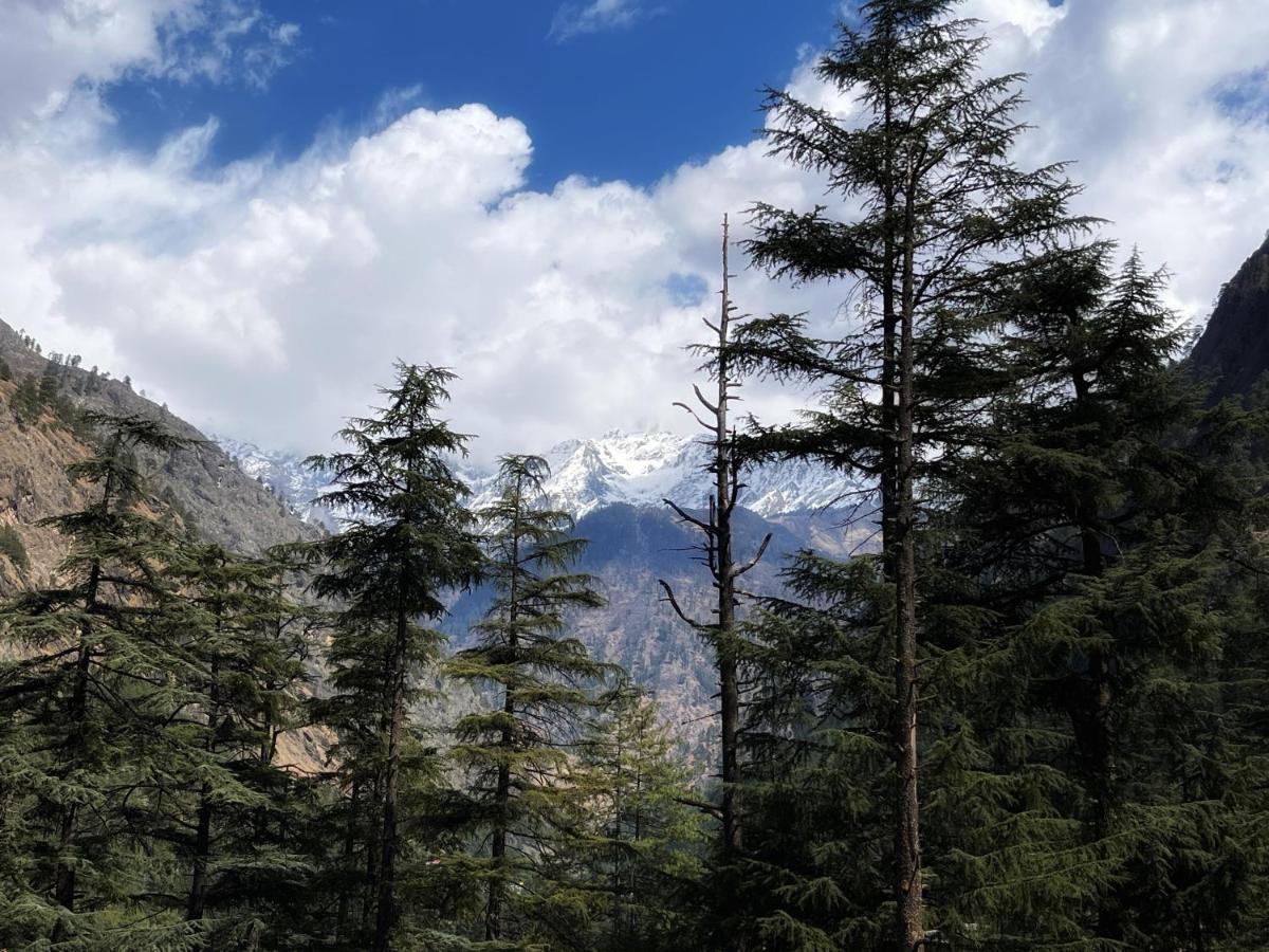 Memoir Homestay Kasol Eksteriør bilde